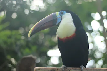 神戸どうぶつ王国に投稿された画像（2021/11/1）