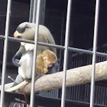 旭川市旭山動物園に投稿された画像（2021/11/1）