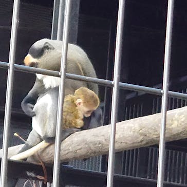 旭川市旭山動物園に投稿された画像（2021/11/1）