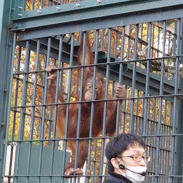 旭川市旭山動物園に投稿された画像（2021/11/1）