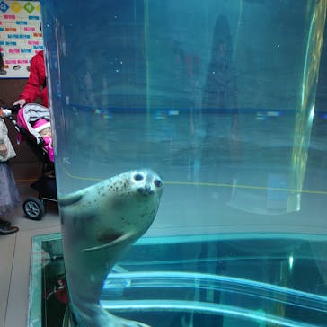 旭川市旭山動物園に投稿された画像（2021/11/1）