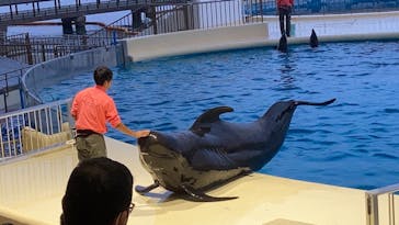 マリンワールド海の中道に投稿された画像（2021/11/1）