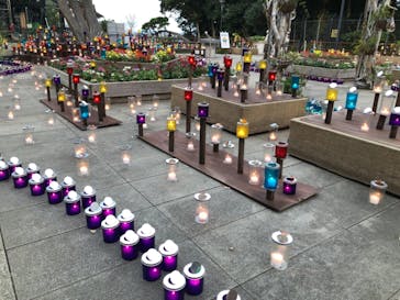 江の島シーキャンドルに投稿された画像（2021/11/1）