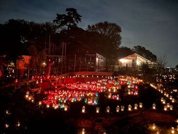 江の島シーキャンドルに投稿された画像（2021/11/1）
