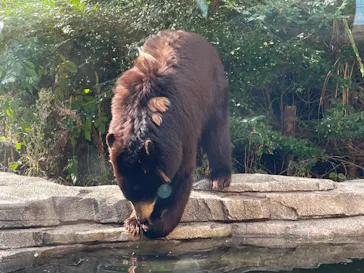 神戸どうぶつ王国に投稿された画像（2021/11/1）