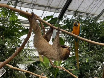 神戸どうぶつ王国に投稿された画像（2021/11/1）