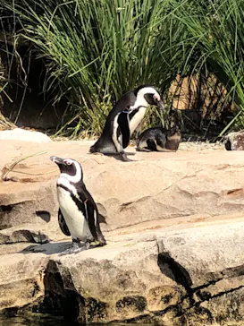 神戸どうぶつ王国に投稿された画像（2021/11/1）