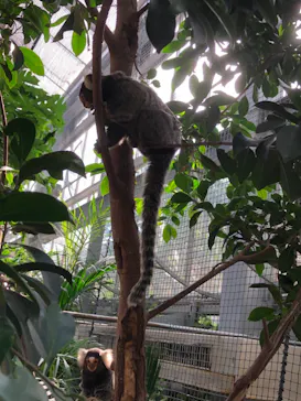 神戸どうぶつ王国に投稿された画像（2021/11/1）