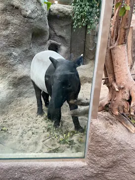 神戸どうぶつ王国に投稿された画像（2021/11/1）