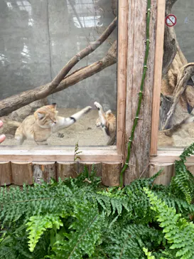 神戸どうぶつ王国に投稿された画像（2021/11/1）