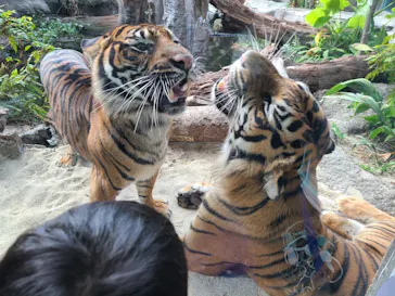 神戸どうぶつ王国に投稿された画像（2021/11/1）