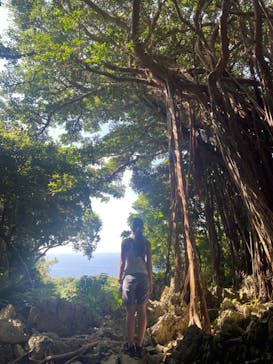 アスムイハイクスに投稿された画像（2021/11/2）