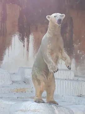 天王寺動物園に投稿された画像（2021/11/2）
