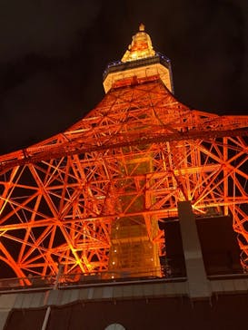 東京メガイルミに投稿された画像（2021/11/2）