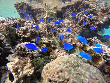 武藤潜水に投稿された画像（2021/11/2）