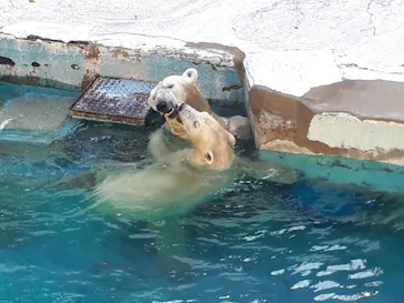 天王寺動物園に投稿された画像（2021/11/2）