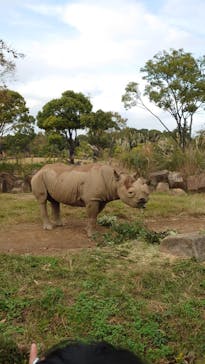 よこはま動物園ズーラシアに投稿された画像（2021/11/2）