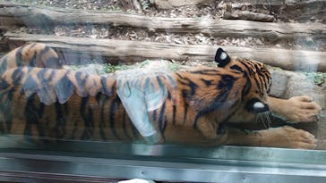 よこはま動物園ズーラシアに投稿された画像（2021/11/2）