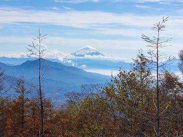サンメドウズ清里に投稿された画像（2021/11/2）