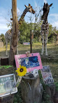 天王寺動物園に投稿された画像（2021/11/2）