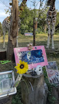 天王寺動物園に投稿された画像（2021/11/2）