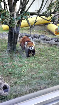 天王寺動物園に投稿された画像（2021/11/2）