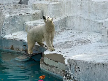 天王寺動物園に投稿された画像（2021/11/2）