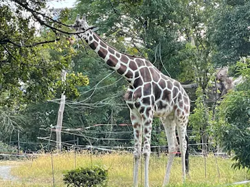 天王寺動物園に投稿された画像（2021/11/2）