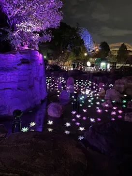 ひらかたパークに投稿された画像（2021/11/2）