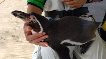 南知多ビーチランド＆南知多おもちゃ王国に投稿された画像（2021/11/2）