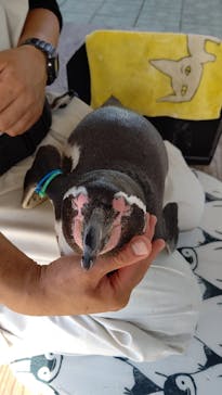 南知多ビーチランド＆南知多おもちゃ王国に投稿された画像（2021/11/2）