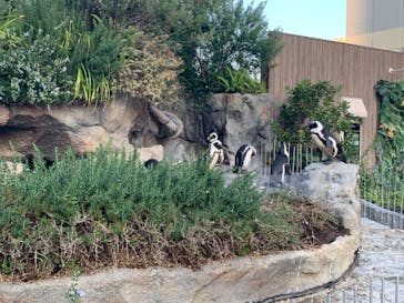 サンシャイン水族館に投稿された画像（2021/11/2）