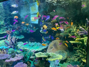 サンシャイン水族館に投稿された画像（2021/11/2）