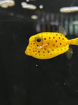 マリンワールド海の中道に投稿された画像（2021/11/2）