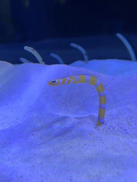 マリンワールド海の中道に投稿された画像（2021/11/2）