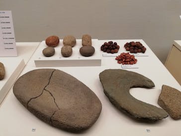 特別展「縄文2021―東京に生きた縄文人―」(江戸東京博物館）に投稿された画像（2021/11/2）