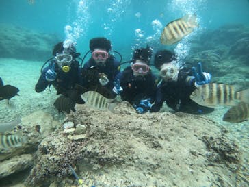 武藤潜水に投稿された画像（2021/11/2）