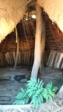 江戸東京たてもの園に投稿された画像（2021/11/2）