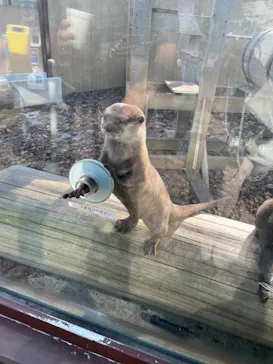 横浜・八景島シーパラダイスに投稿された画像（2021/11/2）