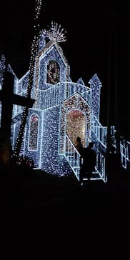 美らヤシパークオキナワ・東南植物楽園に投稿された画像（2021/11/2）