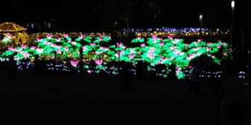 美らヤシパークオキナワ・東南植物楽園に投稿された画像（2021/11/2）