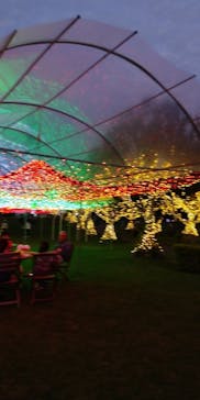 美らヤシパークオキナワ・東南植物楽園に投稿された画像（2021/11/2）