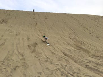 鳥取砂丘サンドボードスクール事業部に投稿された画像（2021/11/2）