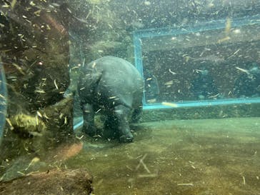 旭川市旭山動物園に投稿された画像（2021/11/2）