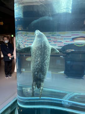 旭川市旭山動物園に投稿された画像（2021/11/2）