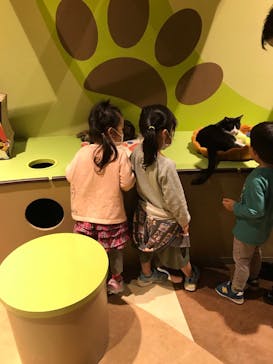 Moff animal world MARK IS みなとみらい店に投稿された画像（2021/11/2）