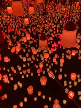 森ビル デジタルアート ミュージアム：エプソン チームラボボーダレスに投稿された画像（2021/11/2）