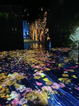 森ビル デジタルアート ミュージアム：エプソン チームラボボーダレスに投稿された画像（2021/11/2）