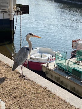 ひろしまリバークルーズに投稿された画像（2021/2/12）