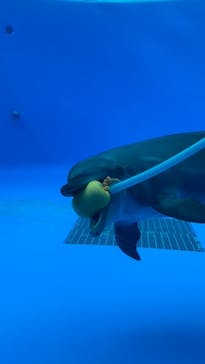 九十九島水族館海きららに投稿された画像（2021/11/2）